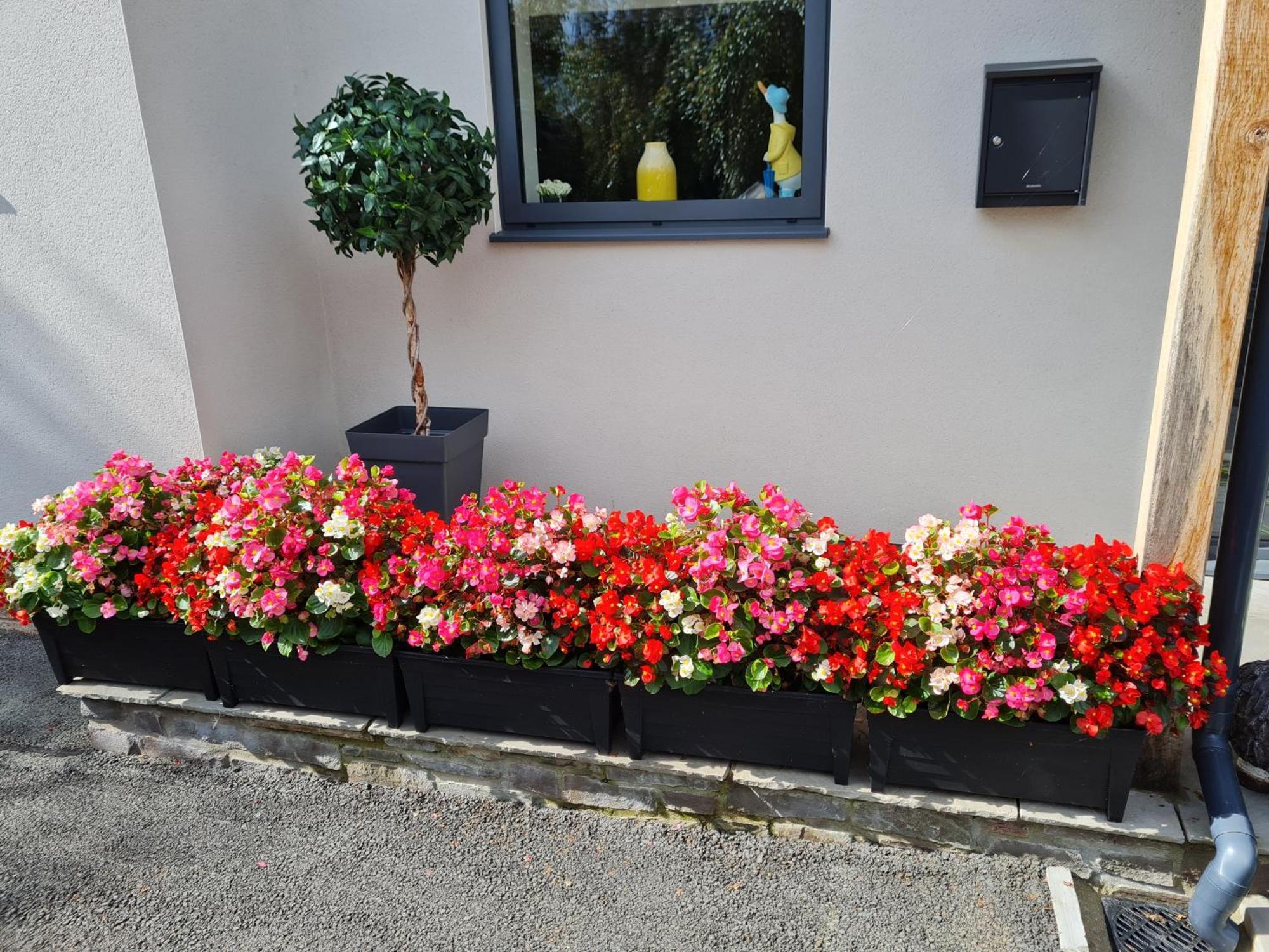 Camden Lodge B&B And Cottage Brecon Luaran gambar