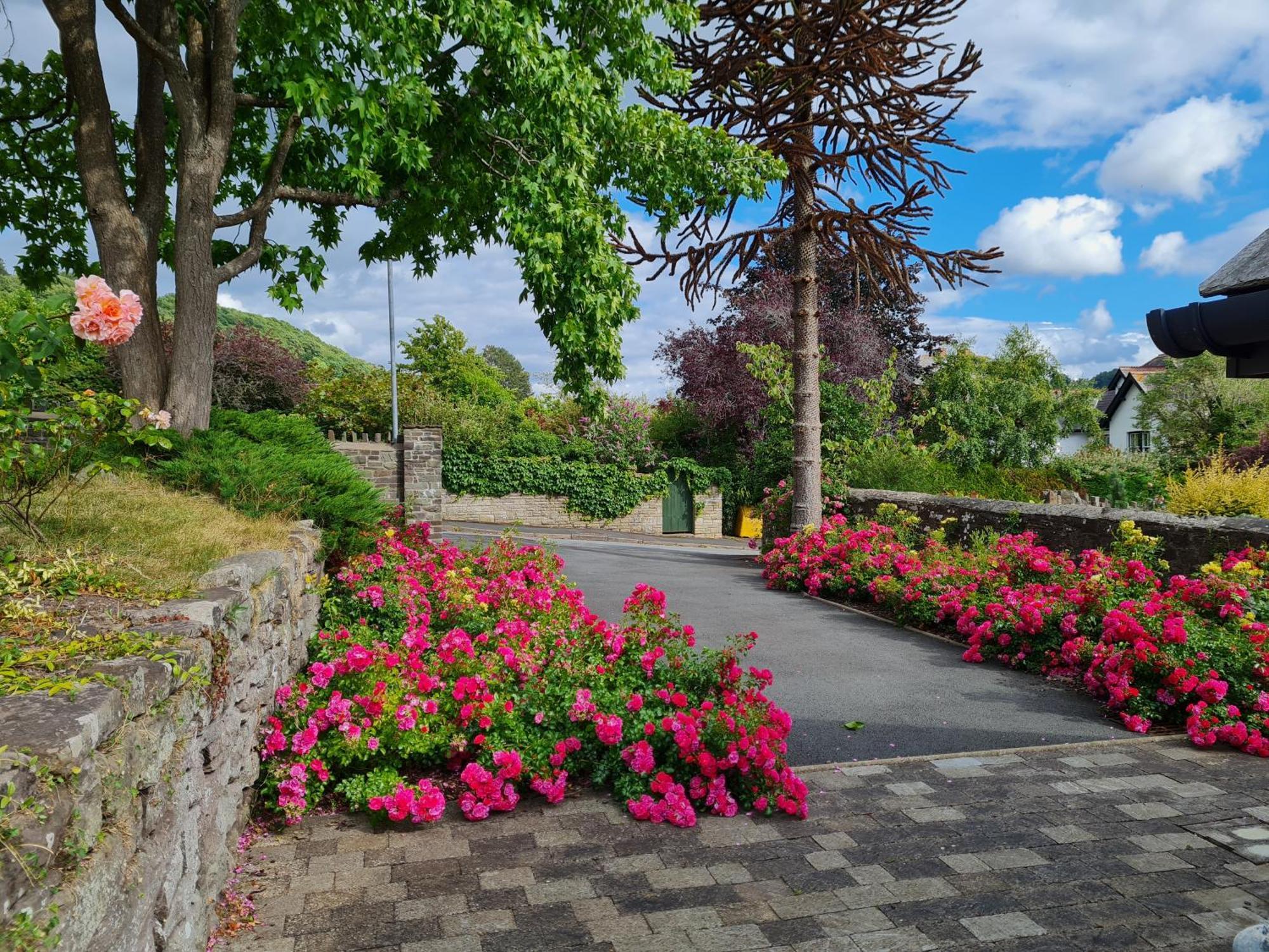 Camden Lodge B&B And Cottage Brecon Bilik gambar
